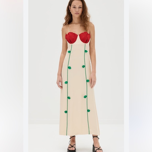 FARM Rio Dresses & Skirts - Farm Rio Rose Bodice Dress